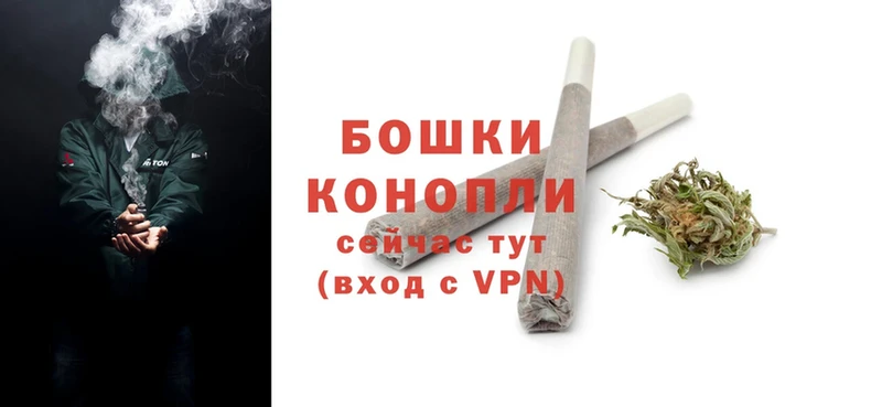 Шишки марихуана THC 21%  где продают   Каменногорск 